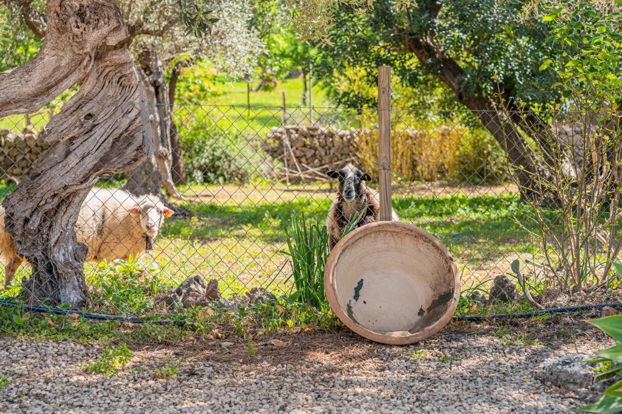 Ca Na Barons Bunyola (Buñola)